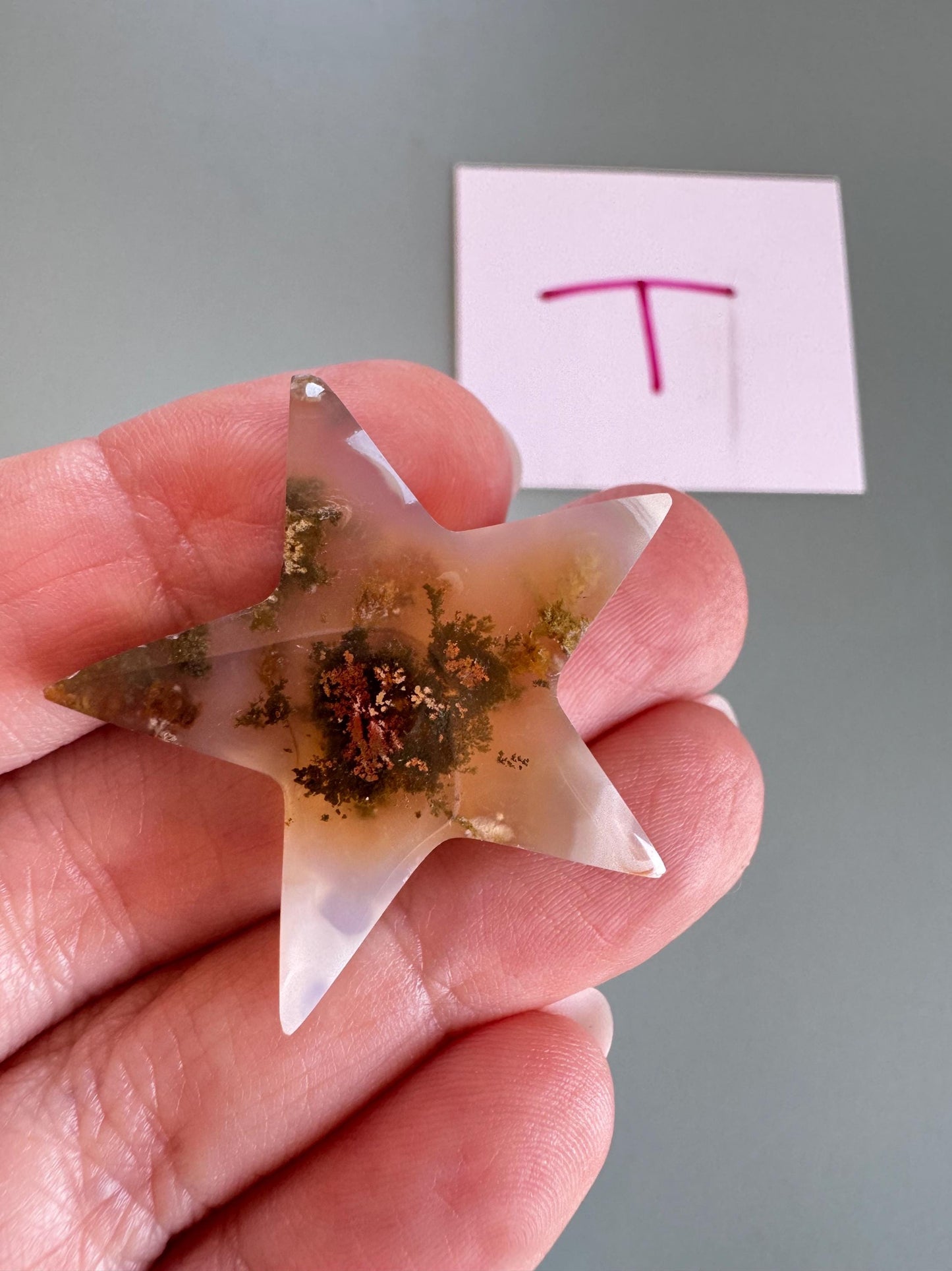 Scenic Moss Agate Star Cabochons - YOU CHOOSE - Material from Indonesia - T through X