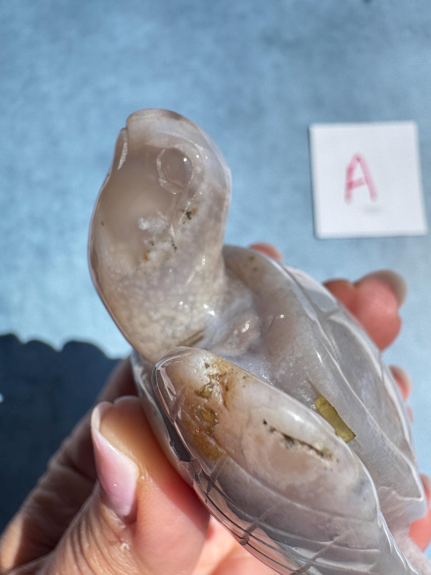 Flower Agate Sea Turtle Carvings - YOU CHOOSE
