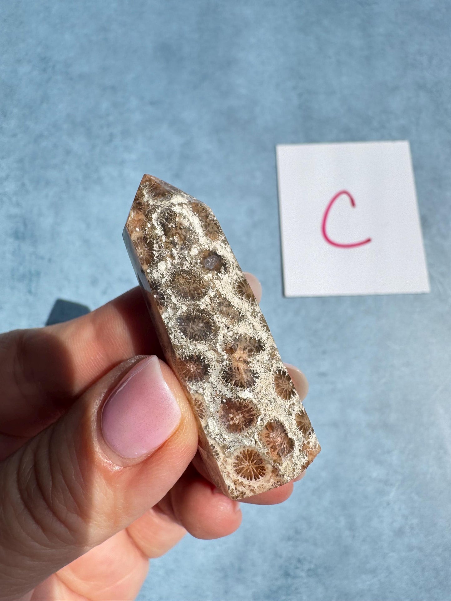 Mini Fossilized Coral Towers from Indonesia - YOU CHOOSE