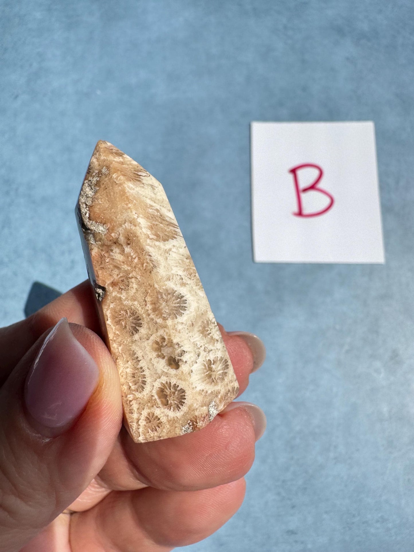 Mini Fossilized Coral Towers from Indonesia - YOU CHOOSE