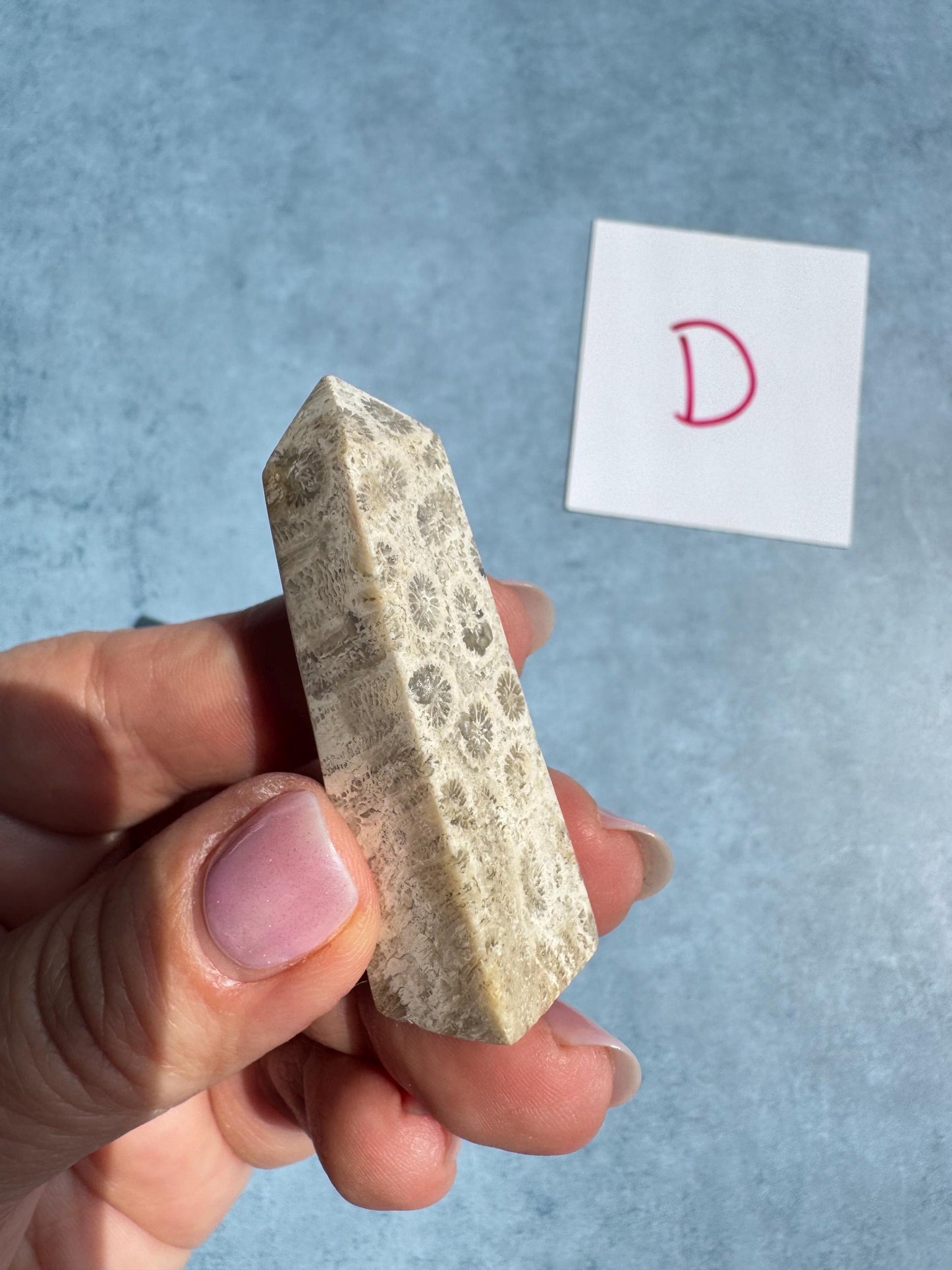 Mini Fossilized Coral Towers from Indonesia - YOU CHOOSE