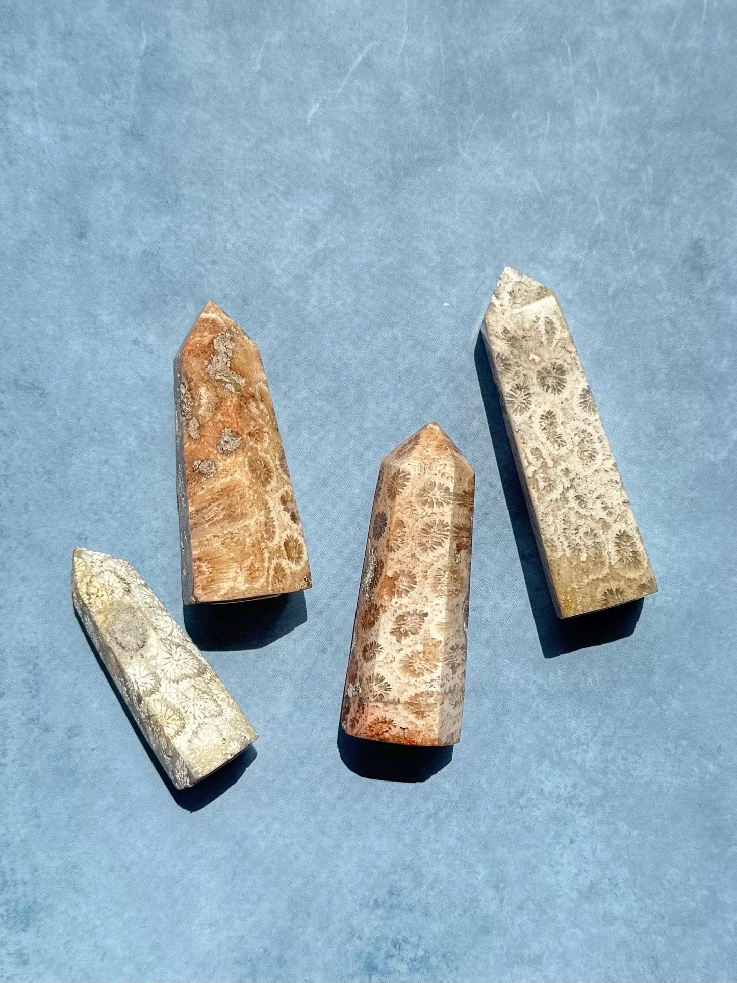 Mini Fossilized Coral Towers from Indonesia - YOU CHOOSE