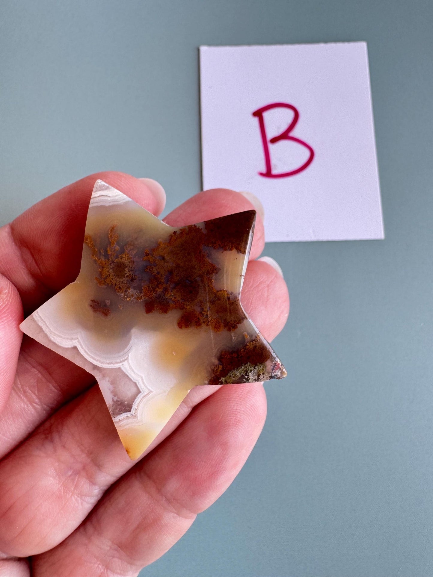 Scenic Moss Agate Star Cabochons - YOU CHOOSE - Material from Indonesia - Set 1