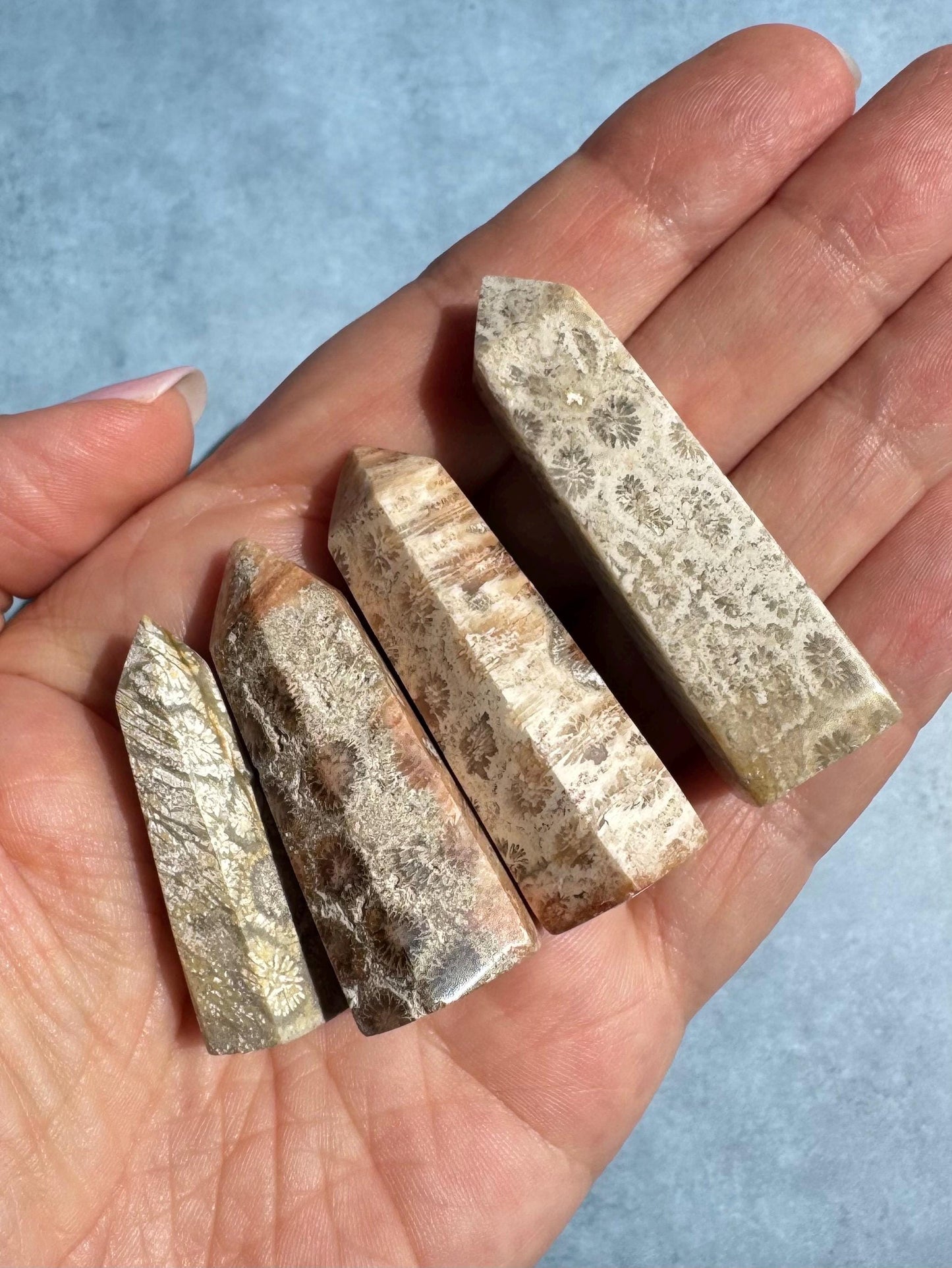 Mini Fossilized Coral Towers from Indonesia - YOU CHOOSE