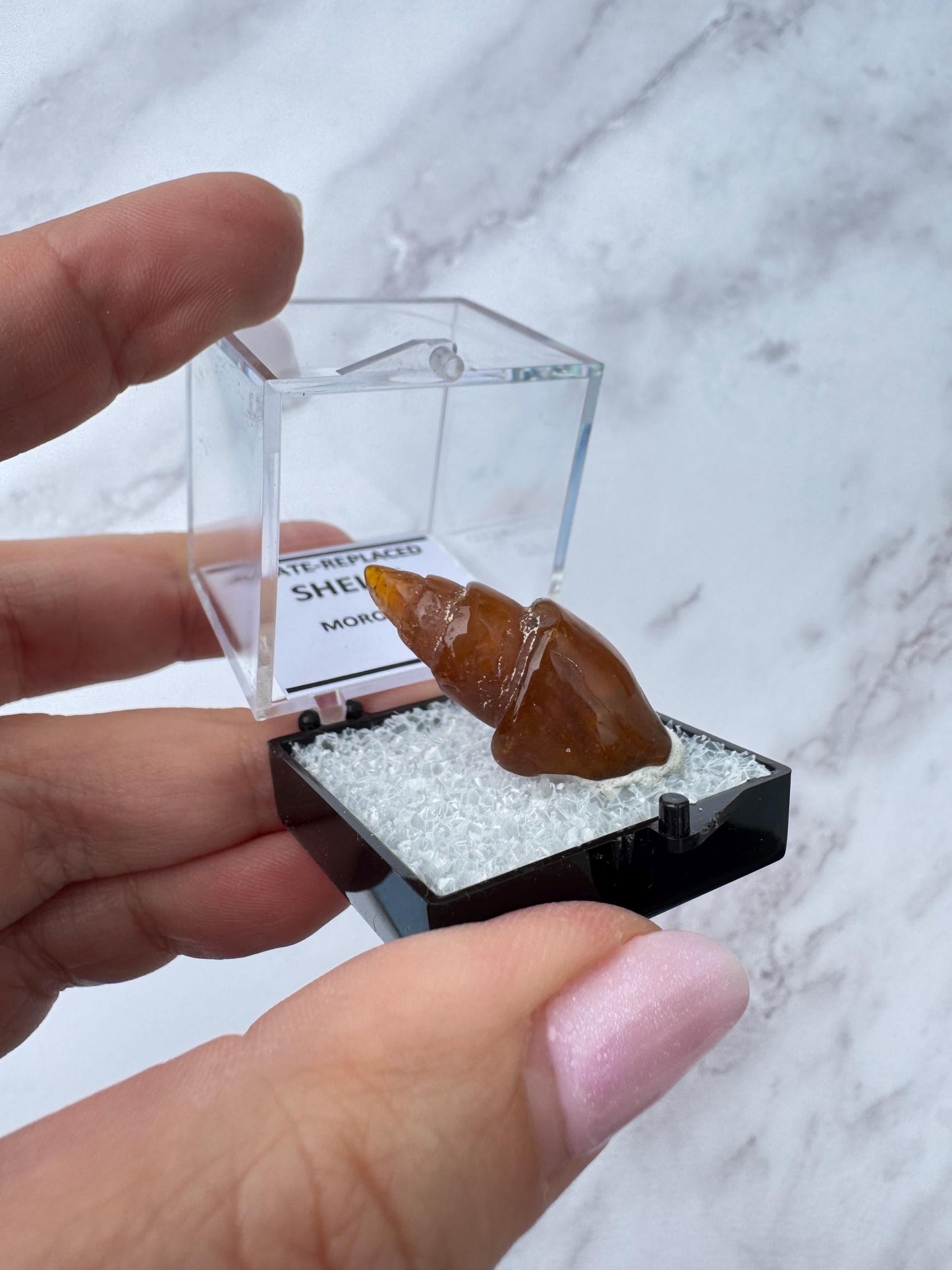OCEAN OASIS Crystal Bundle
